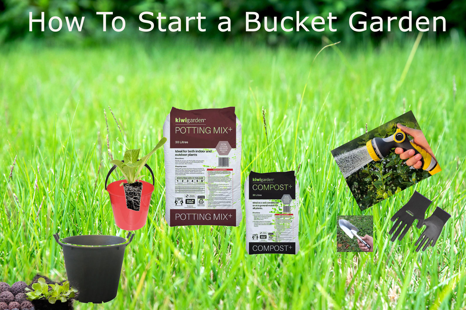 How to Start a Bucket Garden