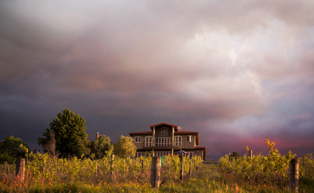 Vineyard Storm West Auckland